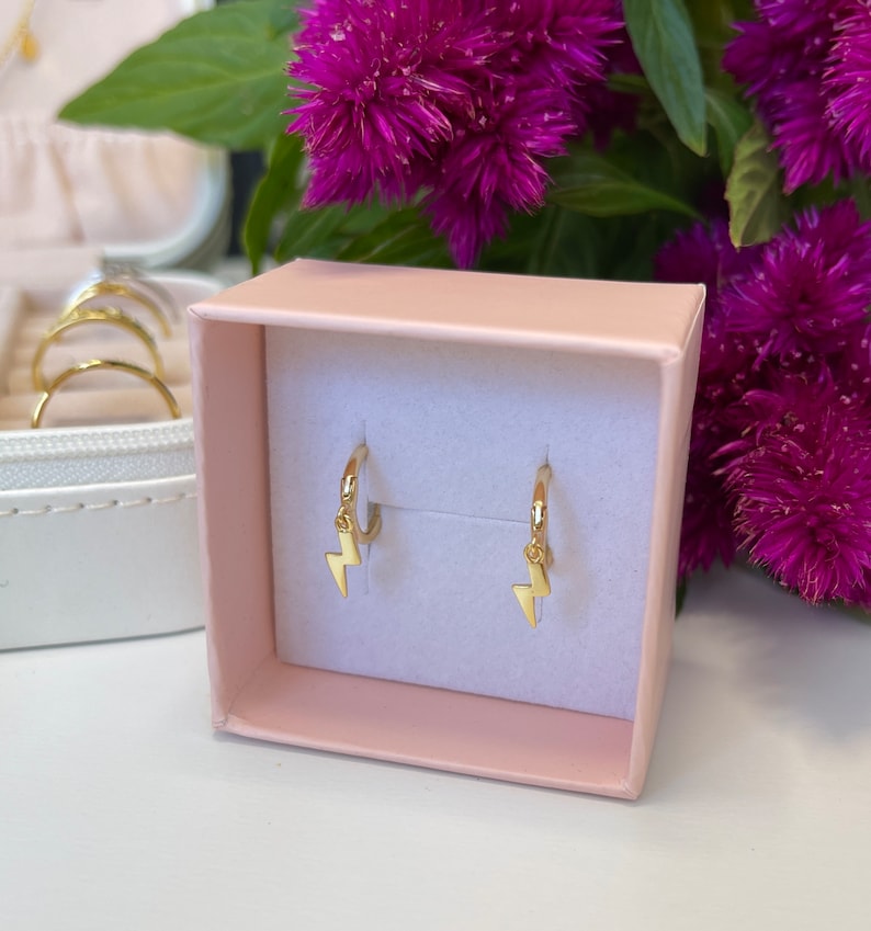 Thunder Shape Earrings